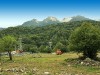 karusel-IMG_4366.jpg